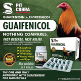 Guaifenicol (100 Capsules) Pit Cobra