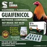 Guaifenicol (50 Capsules) Pit Cobra