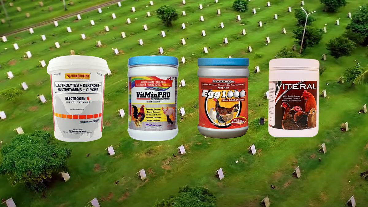 Products – gamefowlsupplement.com