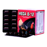 Mega B12 (100 Tablet)