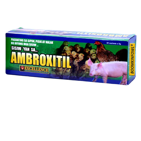 Ambroxitil 5g (48 Sachet)